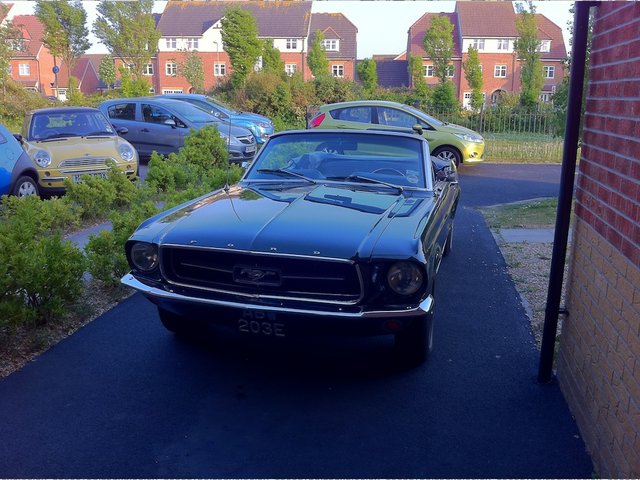 mustang1